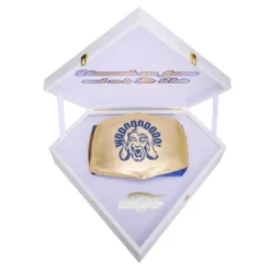 Hogan's Beach Shop BELTS Ric Flair Signature Series Belt W/ Robe