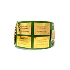 Hogan's Beach Shop Hulk Hogan Signed WWF Big Green Championship Belt