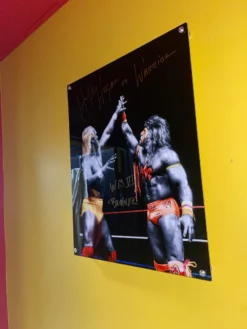 Hogan's Beach Shop Hulk Hogan Spotlight Plaques Signed AUTOGRAPHED MEDIA