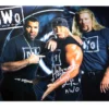 Hogan's Beach Shop Hulk Hogan Signed NWO Group Poster