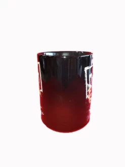 Hulk Hogan's Wrestling Shop NWO Crab Pose Mug COFFEE MUGS