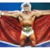 Hogan's Beach Shop AUTOGRAPHED POSTERS Hulk Hogan Signed Thunderlips Cape Poster