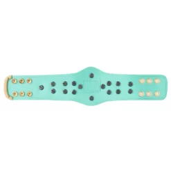 Hogan's Beach Shop WWE Blue Winged Eagle Championship Mini Replica Title Belt