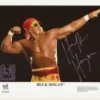 Hogan's Beach Shop Hulk Hogan Signed WWE Bow & Arrow 8x10 Photo